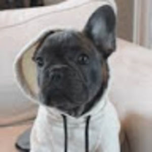 Meet your Posher, Arianna